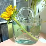 Transparent Glass Vase